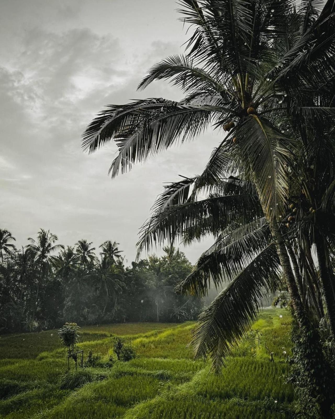 Nirwa Ubud Karma Dış mekan fotoğraf
